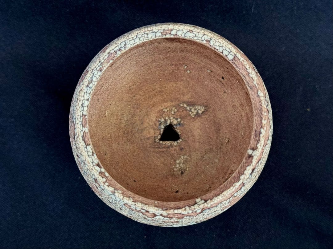 konect mad web mushi -kui 01S 鉢