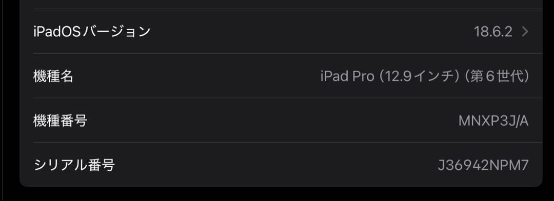 iPad Pro 12.9インチ 第6世代 Wi-Fiモデル