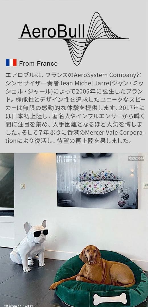 【AeroBull】HD1 ワイヤレススピーカー　グロッシーホワイト