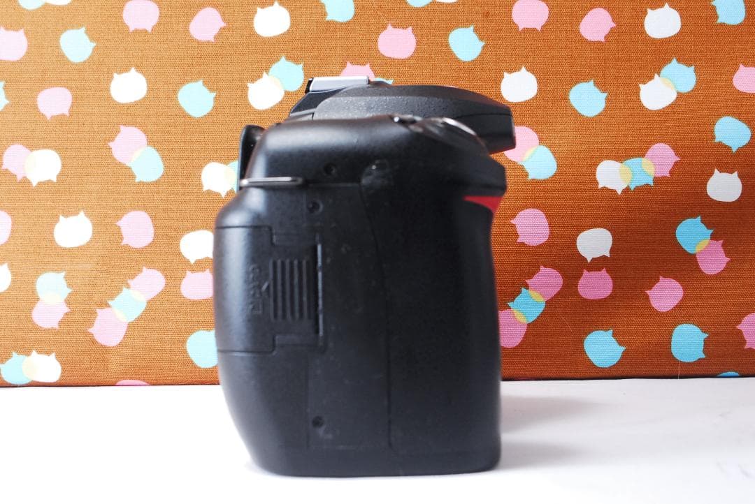 ✨新品級✨ショット数1236回✨Nikon D50 レンズセット