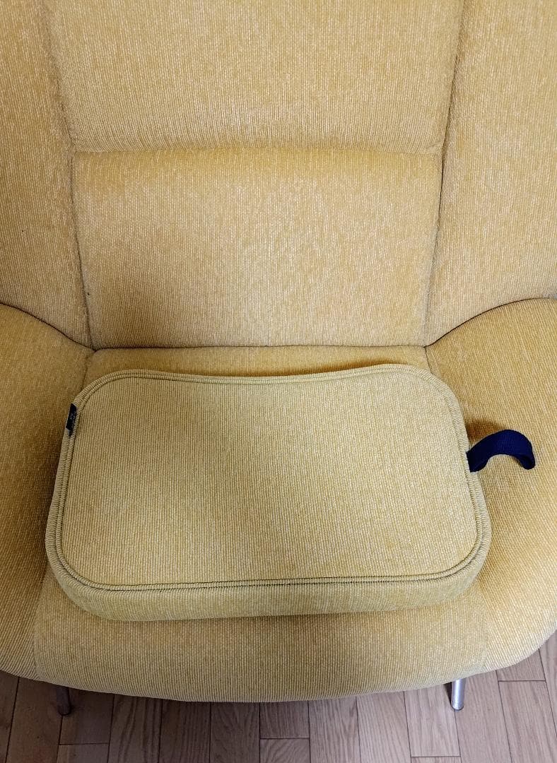 Fion(フィオン) ソファ 1人掛けイエロー