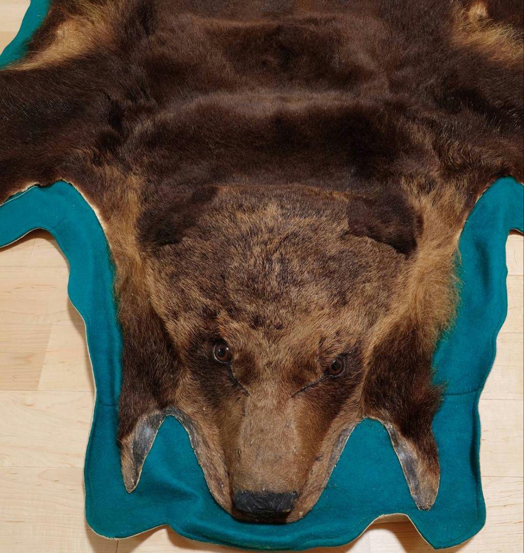 熊 毛皮 剥製 爪あり ラグ 敷物 カーペット(約180×170)