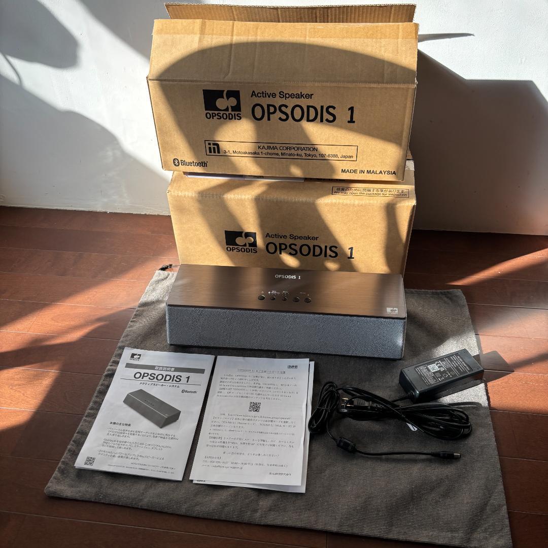 OPSODIS 1 鹿島建設　(シルバー)