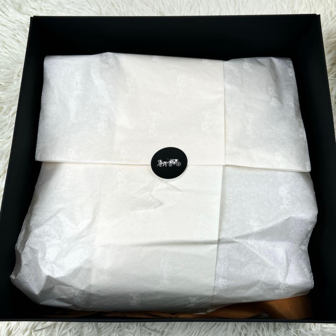 COACH ディズニー ボディバッグ C8491 シグネチャー ミッキーマウス