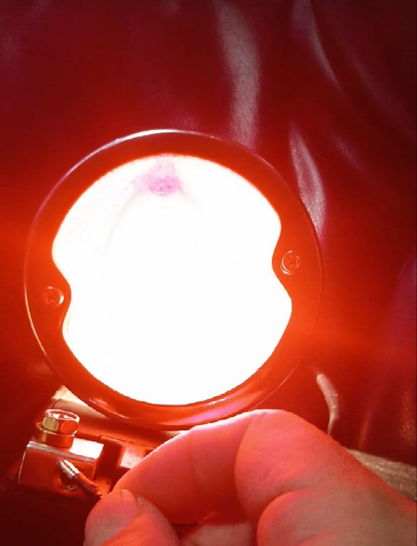 ★希少 DUO LAMP PUSSY テール ★