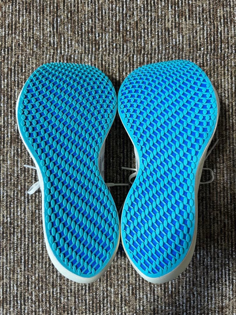 早い者勝ちMIZUNO WAVE REBELLION PRO NATURAL