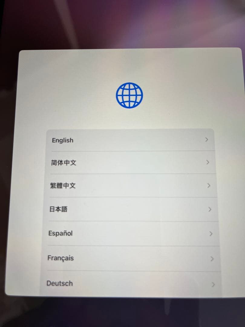 アップル Apple iPad mini （A17 Pro） 256GB