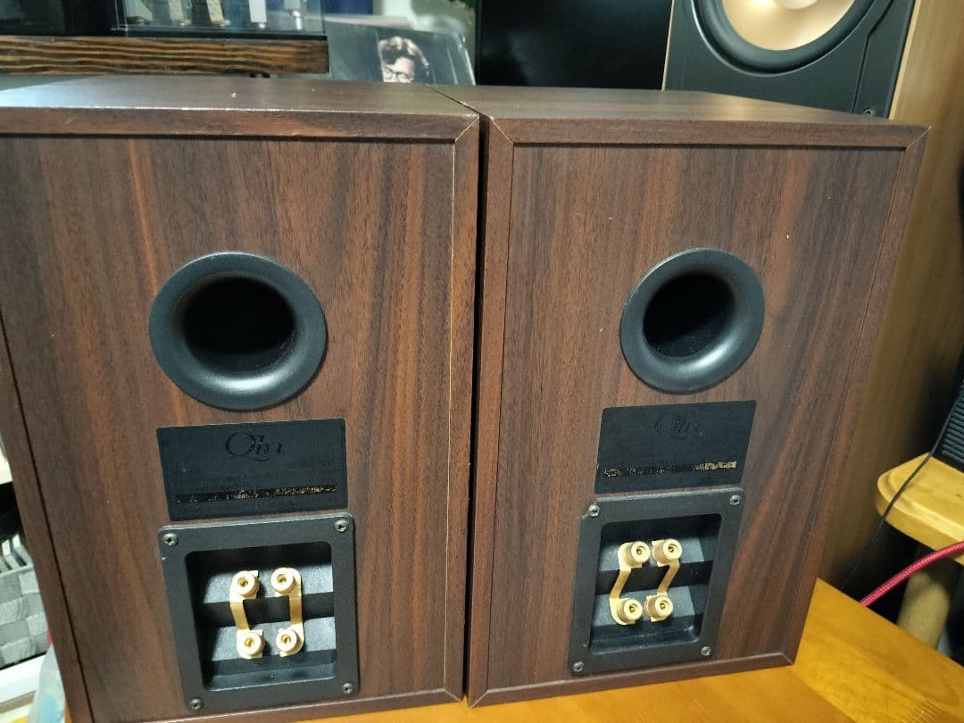 QLN Acoustic Qubic 111 スピーカー スウェーデン 北欧