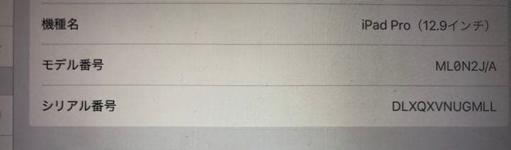 iPad pro 12.9インチ