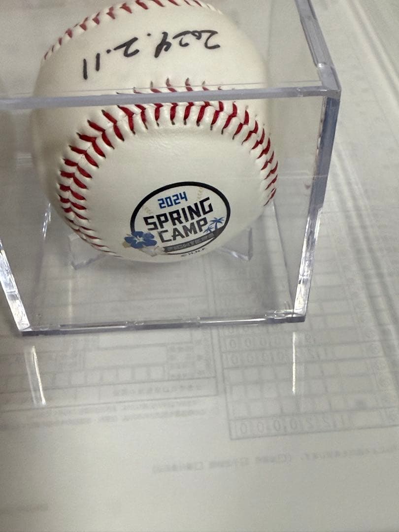 直筆サイン入り2024春季キャンプボール　伊藤大海　貴重！最多勝！最高勝率！二冠