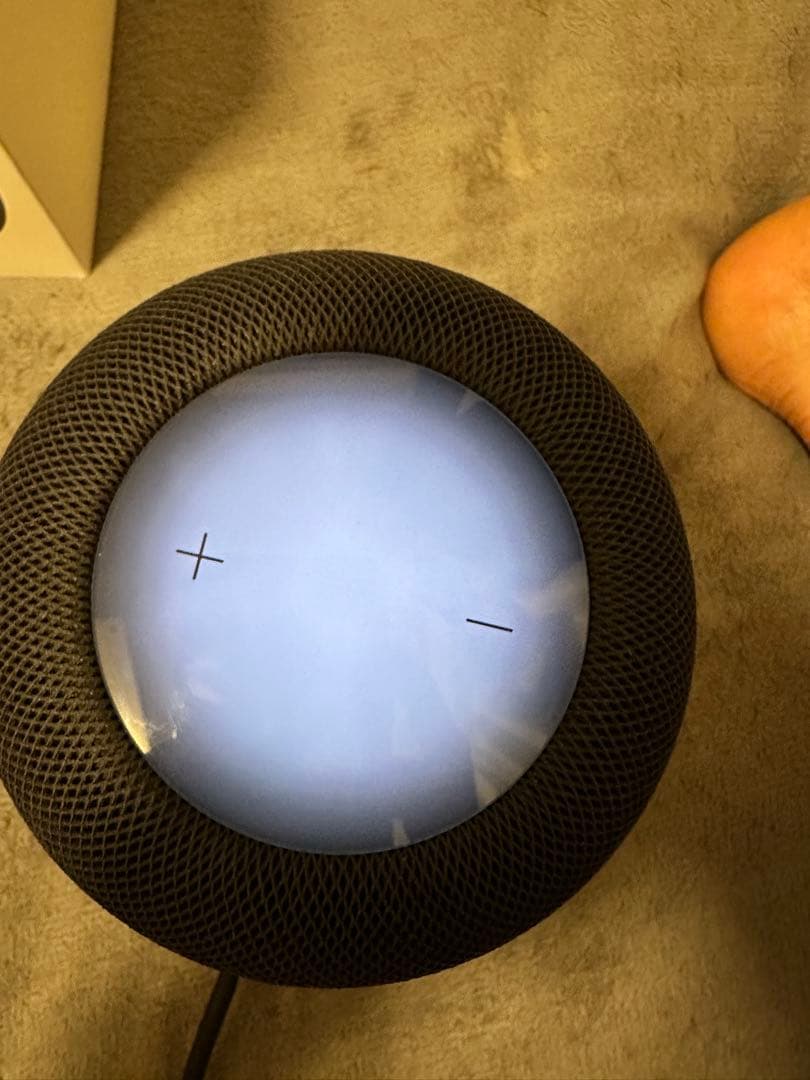 Apple  pod 2 ジャンク品