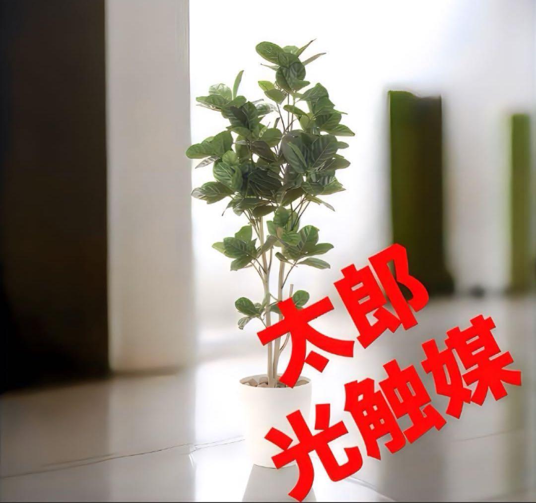 光触媒　人工観葉植物　ウォールグリーン　フェイクグリーン　パンの木125ptw