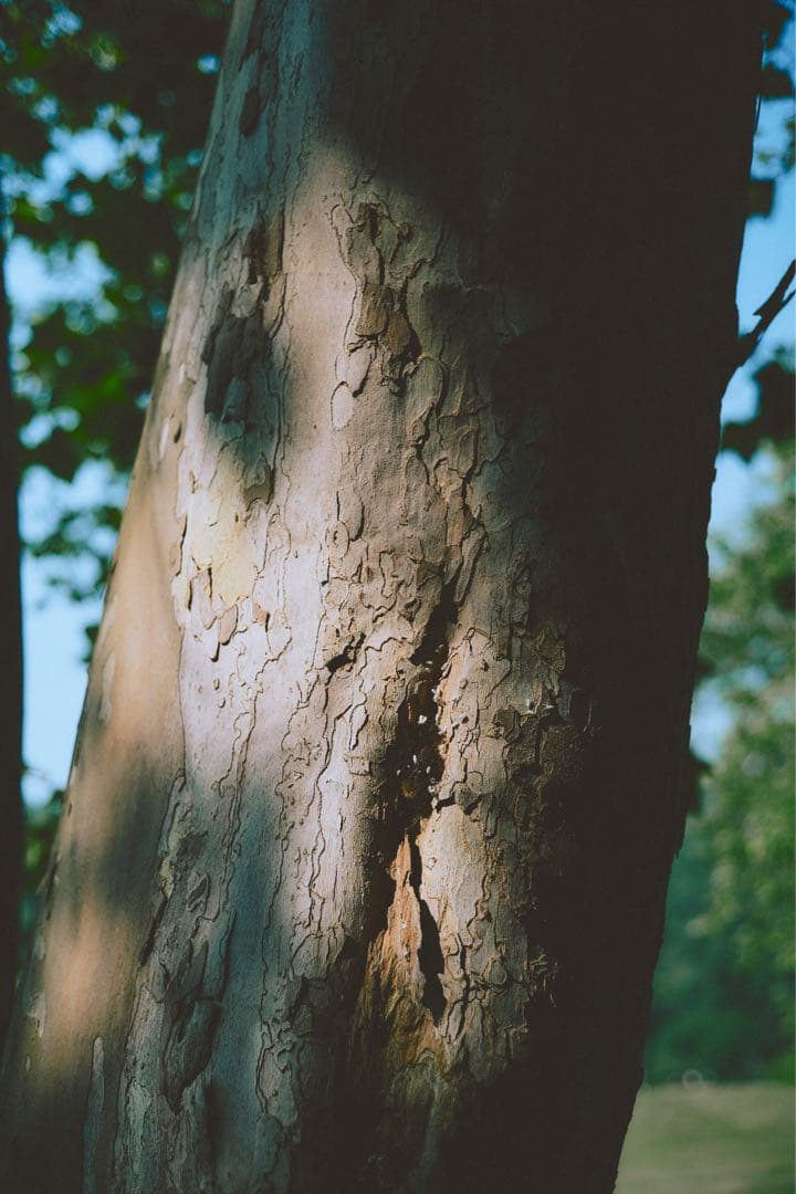 レンズ(単焦点) Minolta M-ROKKOR QF 40mm F2