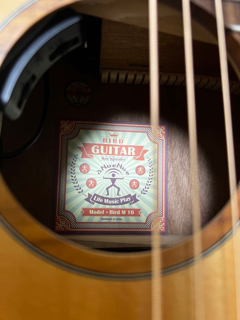 aNueNue Bird Guitar aNN-M10E エレアコ