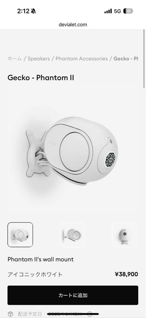 PHANTOM 2 98db ホワイト 2個 壁掛け デビアレ