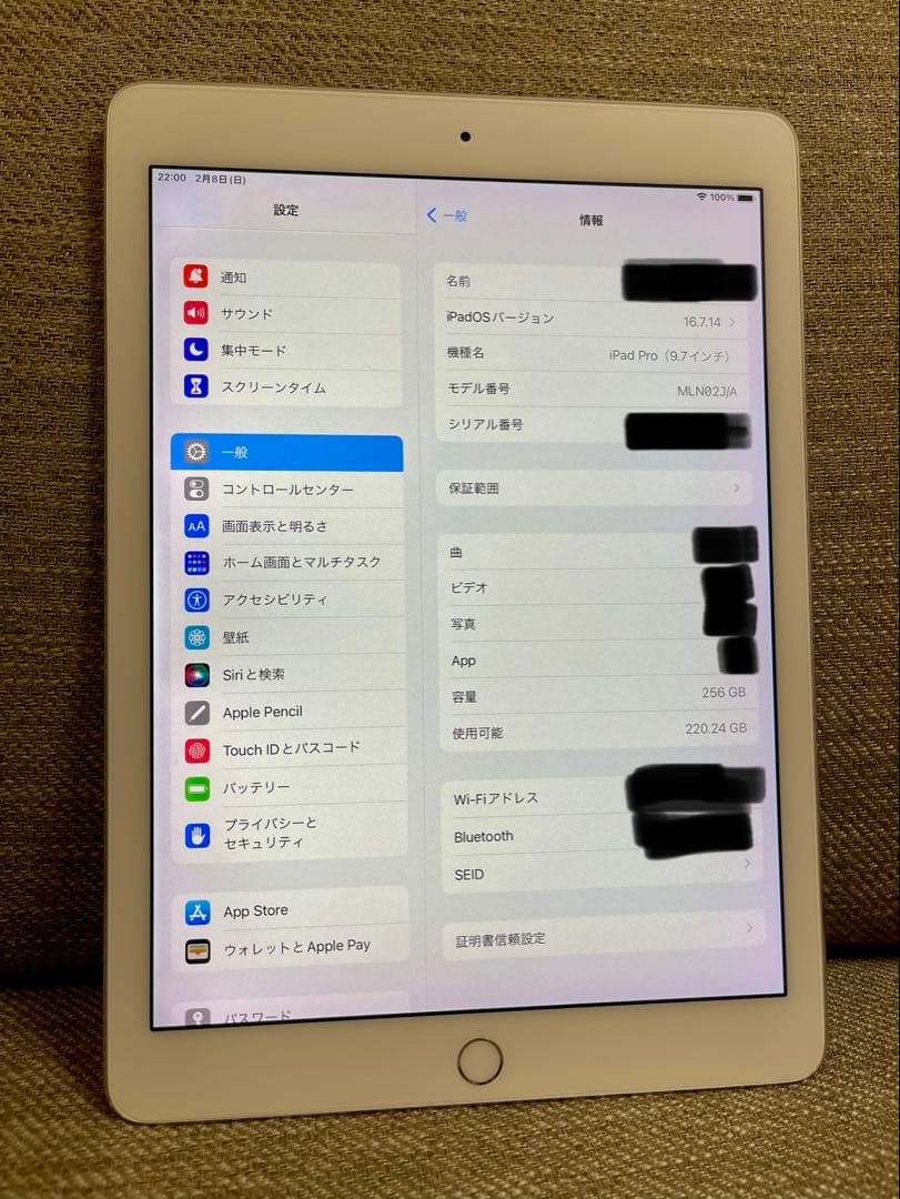 iPad Pro 9.7インチ 256GB バッテリー90%
