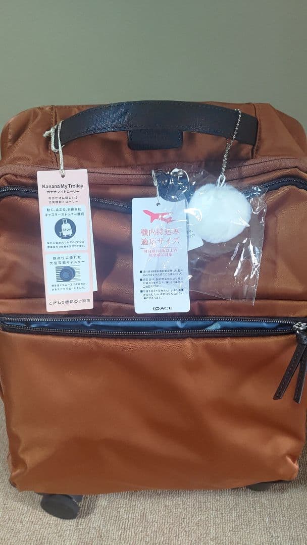 カナナ プロジェクト キャリーバッグ 静音キャスター搭載　24L　機内持ち込み