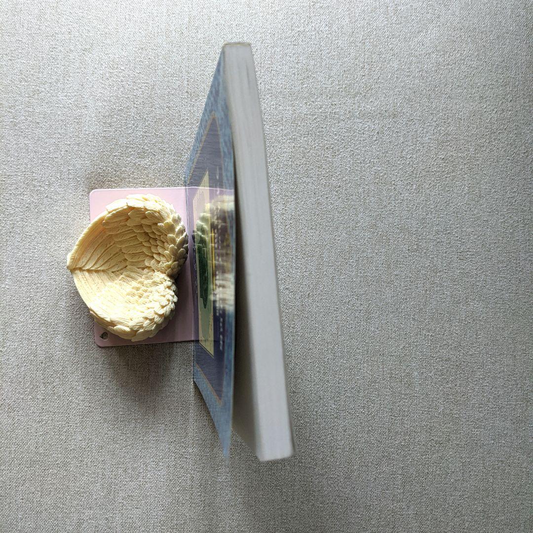 ラオ先生のインド占星術 　上巻・下巻　2冊セット