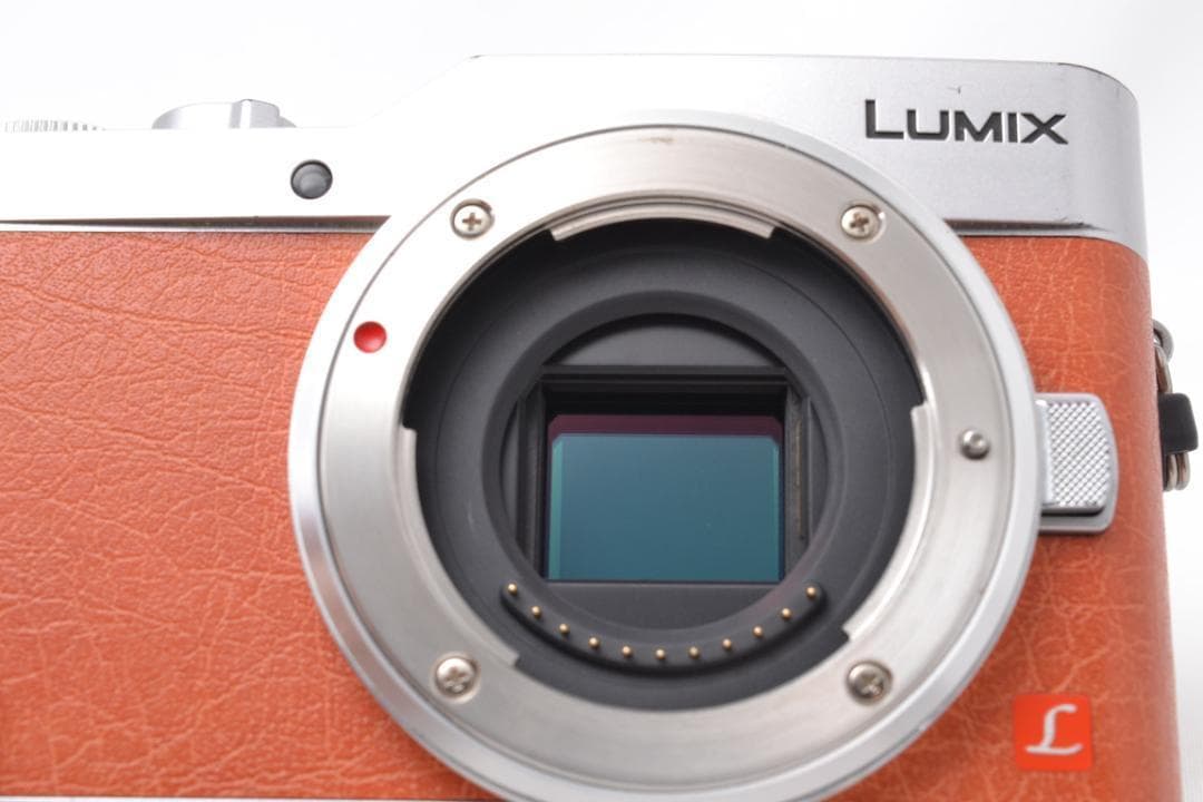 Panasonic LUMIX GF9 ミラーレス ダブルズームキット