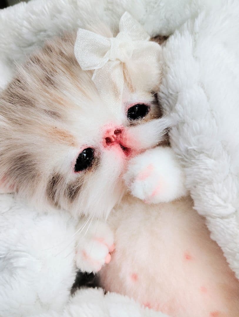 ベビー子猫♡お腹ぽっこりちゃん♡アートドール♡ぬいぐるみ♡