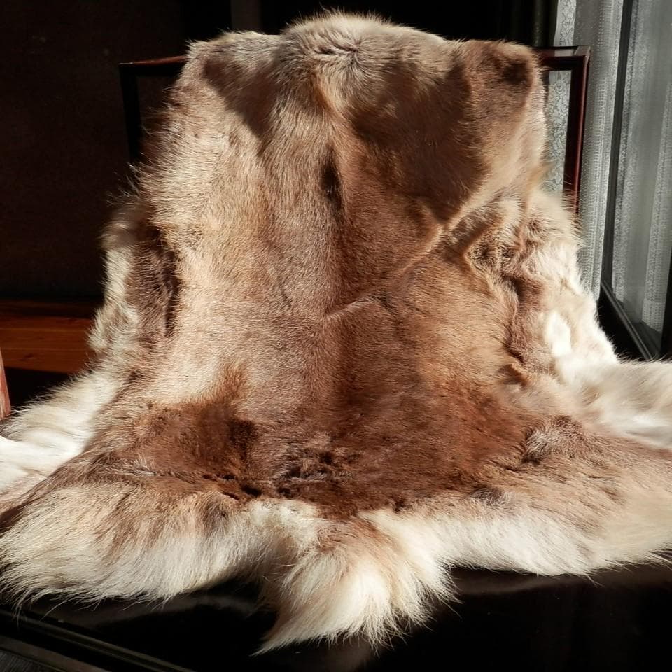 トナカイ毛皮　赤毛　きのこマット付き