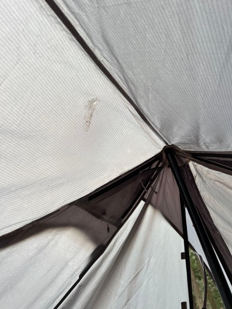 ニーモ　ヘキサライト 6p