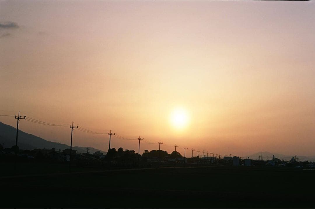 135フィルムバック　MAMIYA 645 super用