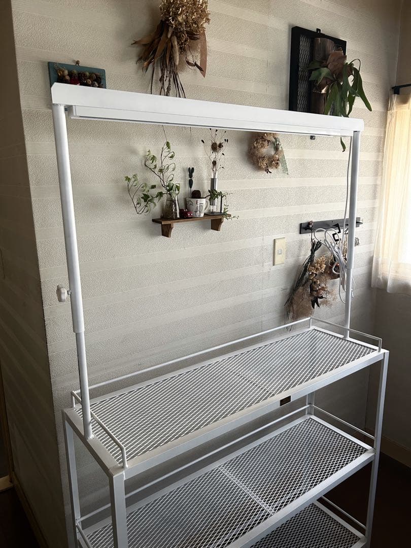 ☆送料込み☆アイアン植物棚ホワイト　即購入OK ライトレール付　アガベ　塊根