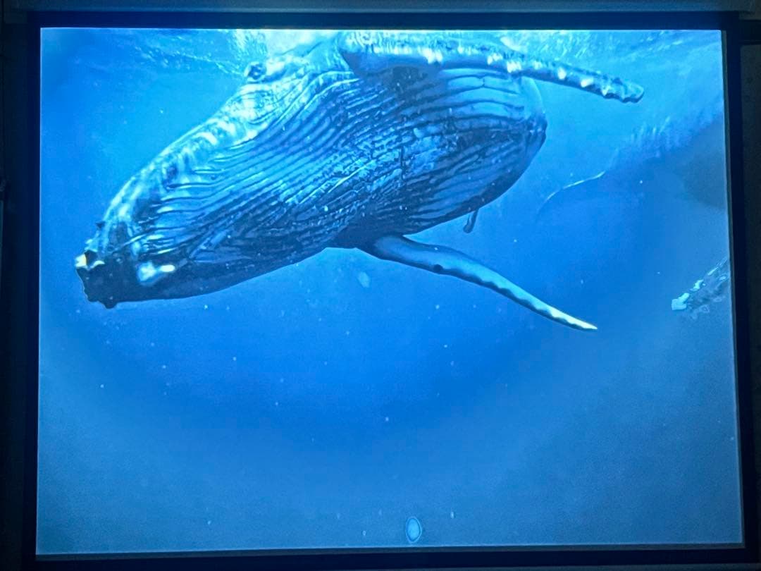 MAGCUBIC L018プロジェクター本体 ホワイト