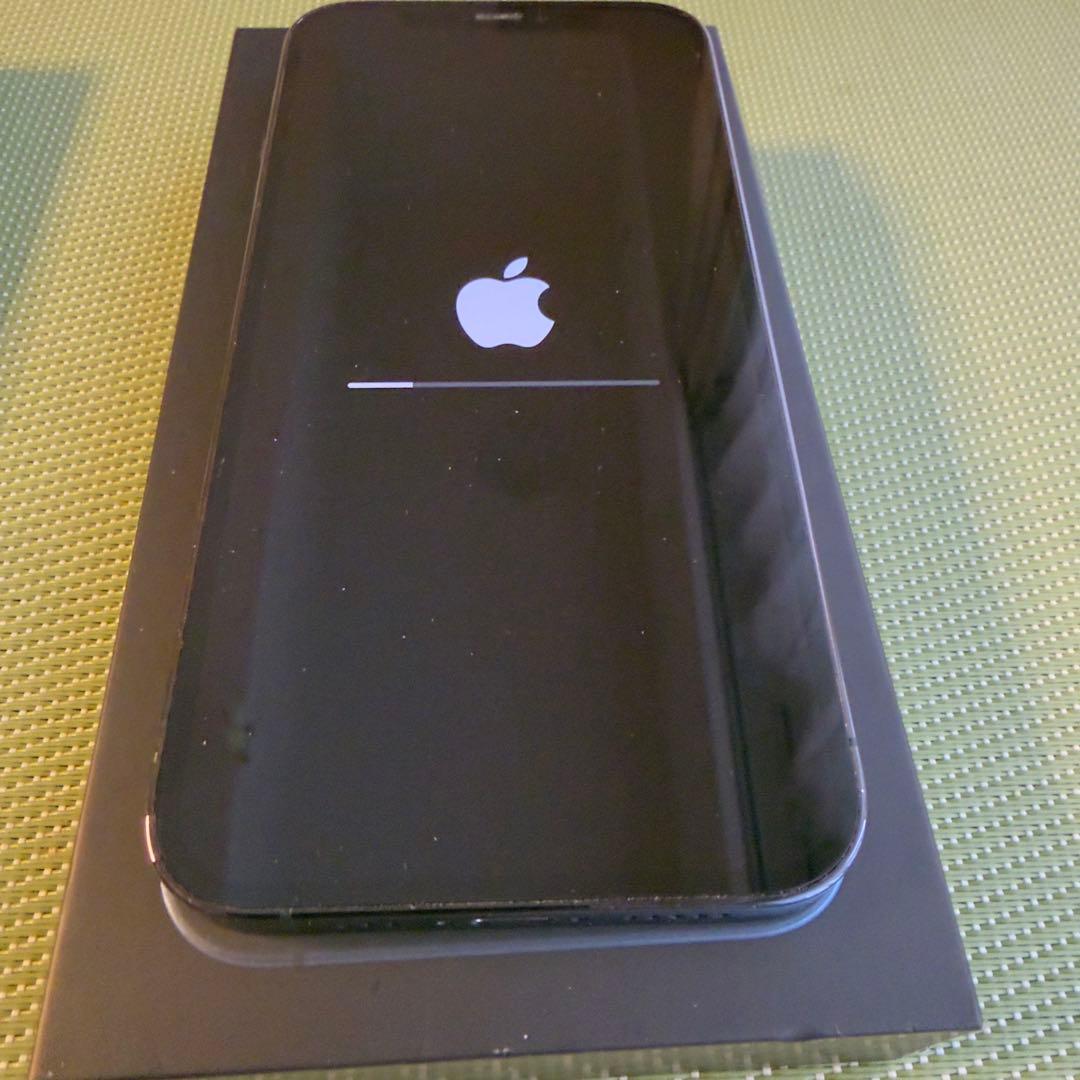 雪　Apple iPhone 12 Pro 128gb