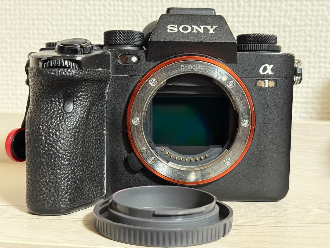 SONY α1 縦位置グリップ付き　ilce-1