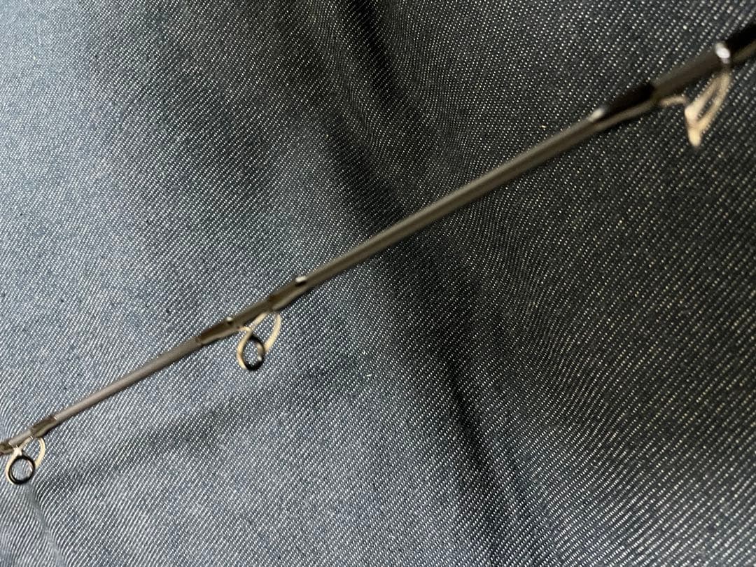 ひしも　ソルダムゴーストB606