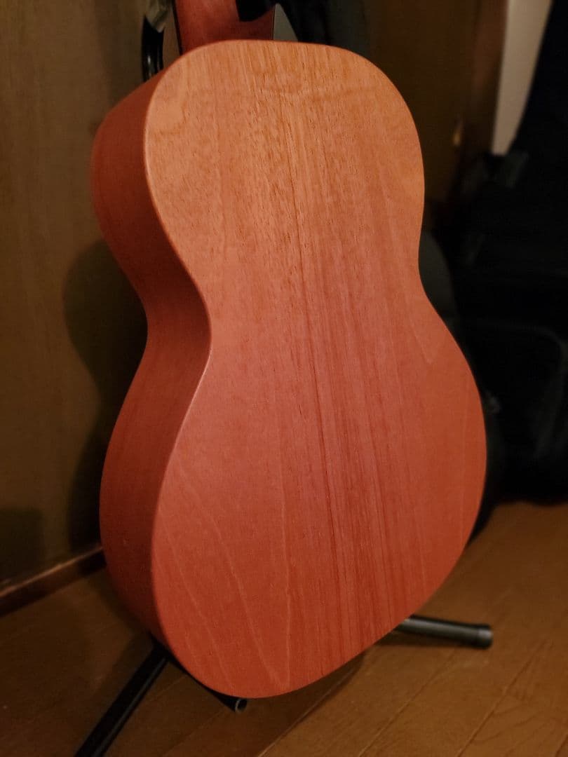 Larrivée パーラー o-01 shadow nano mag付