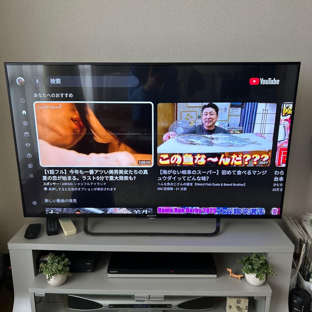 SONYブラビア49インチ