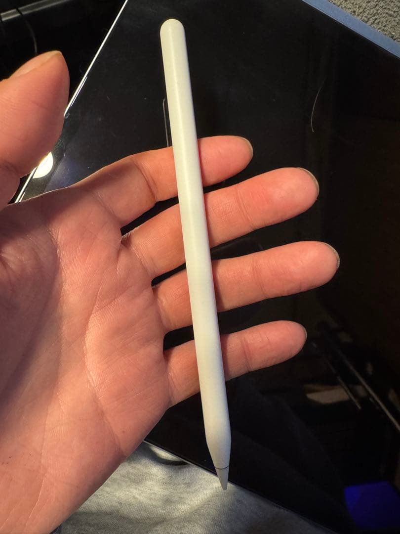 iPad air 13インチm2 Apple Pencil pro付き