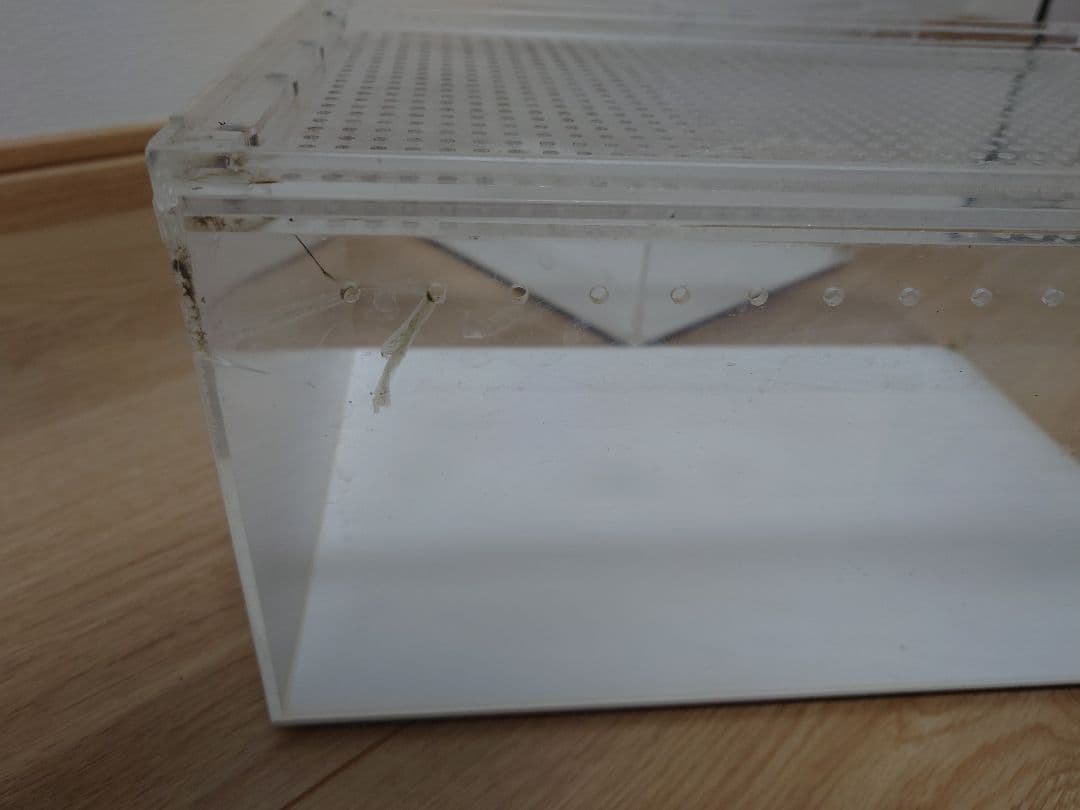 三晃商会 レプタイルボックス5個セット