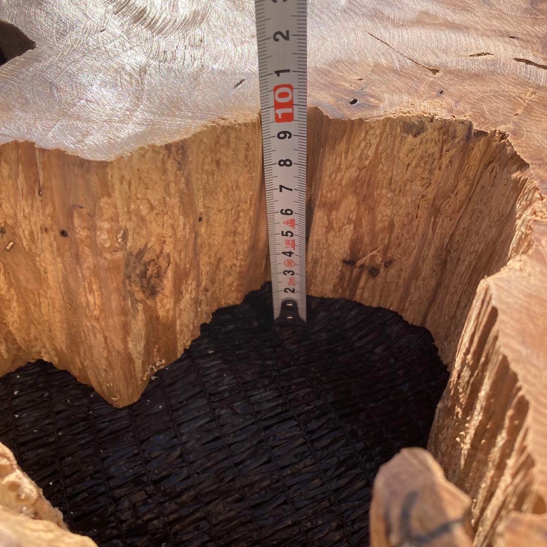 ①*ஐ一枚板！！インテリアディスプレイやテーブルにも*ஐ【輪切り・丸太・切り株】