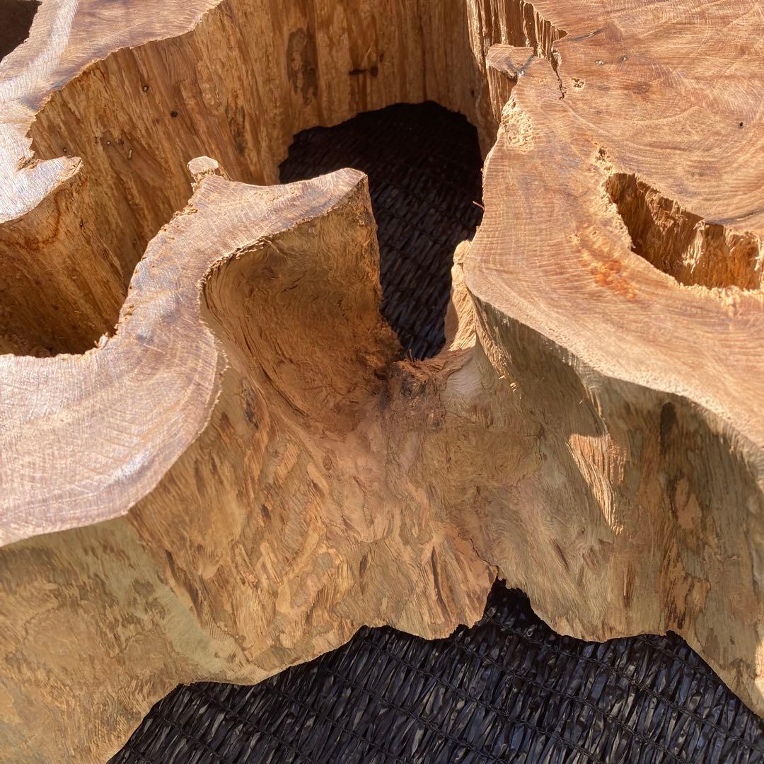 ①*ஐ一枚板！！インテリアディスプレイやテーブルにも*ஐ【輪切り・丸太・切り株】