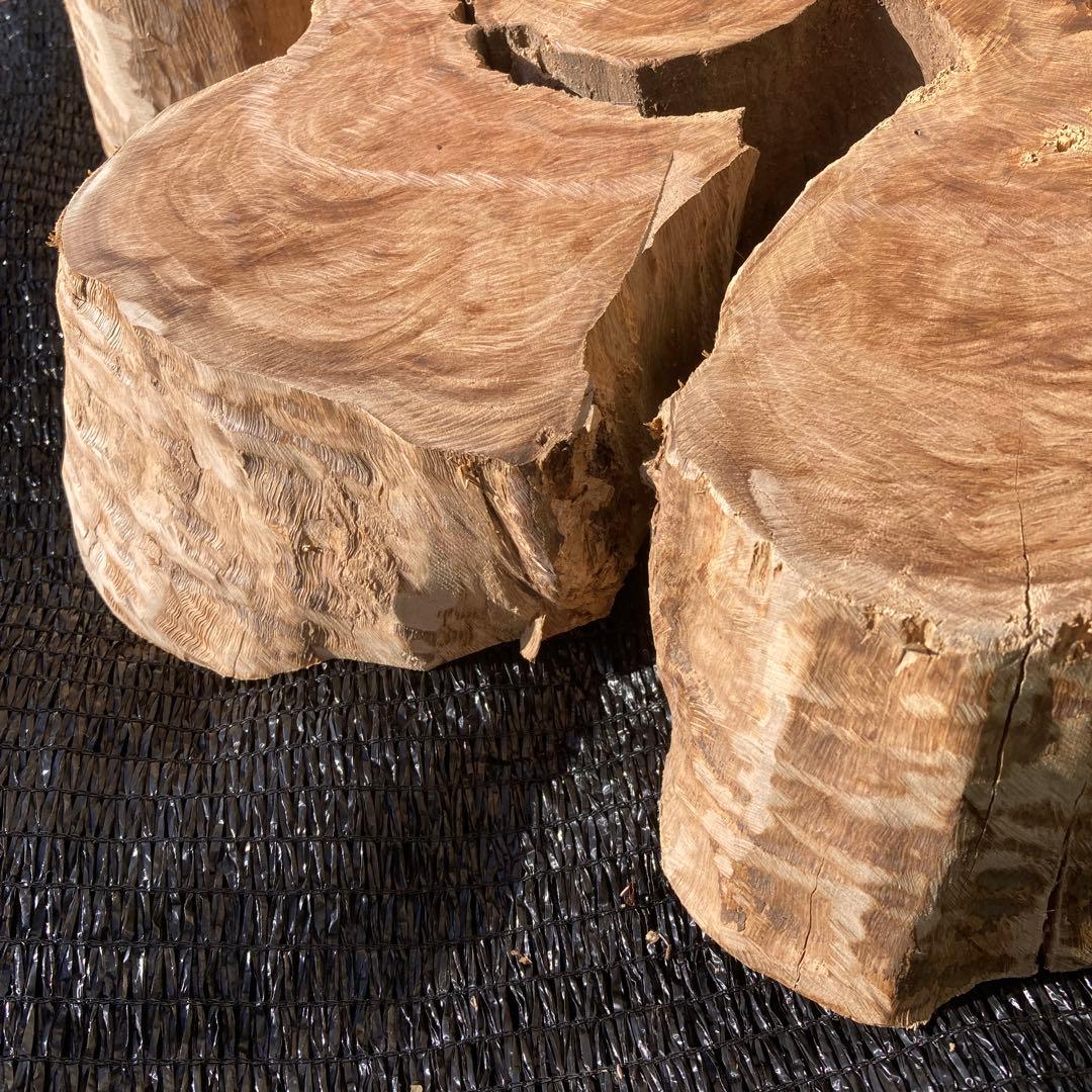 ①*ஐ一枚板！！インテリアディスプレイやテーブルにも*ஐ【輪切り・丸太・切り株】