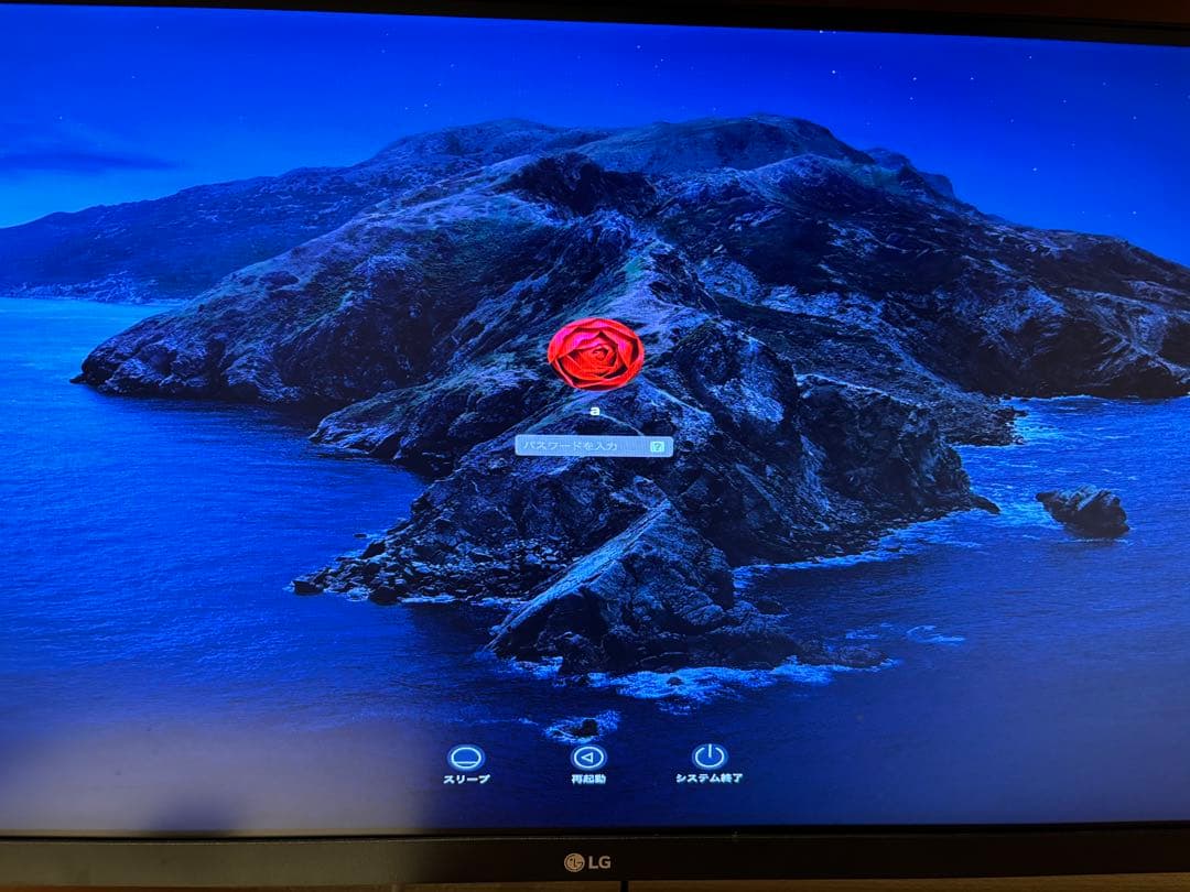 Mac mini 2012 md387j/a ssd256 メモリ16g