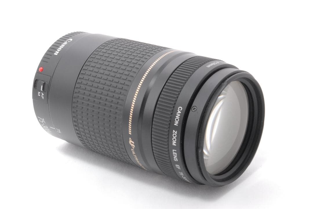 遠くもバッチリ⭐️超望遠レンズ⭐️Canon EF75-300 Ⅱ USM⭐️