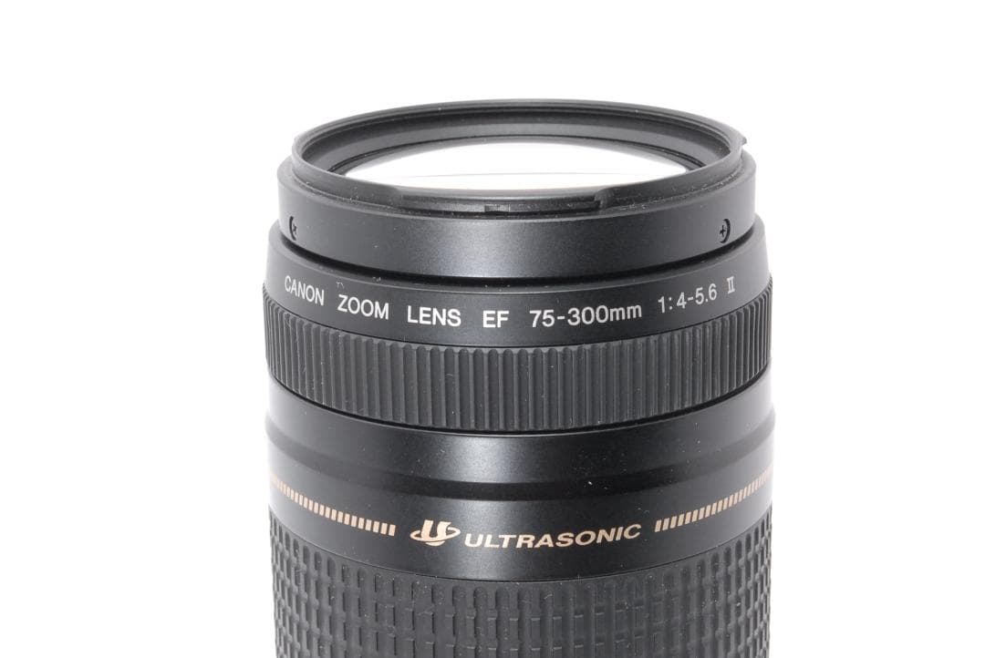 遠くもバッチリ⭐️超望遠レンズ⭐️Canon EF75-300 Ⅱ USM⭐️
