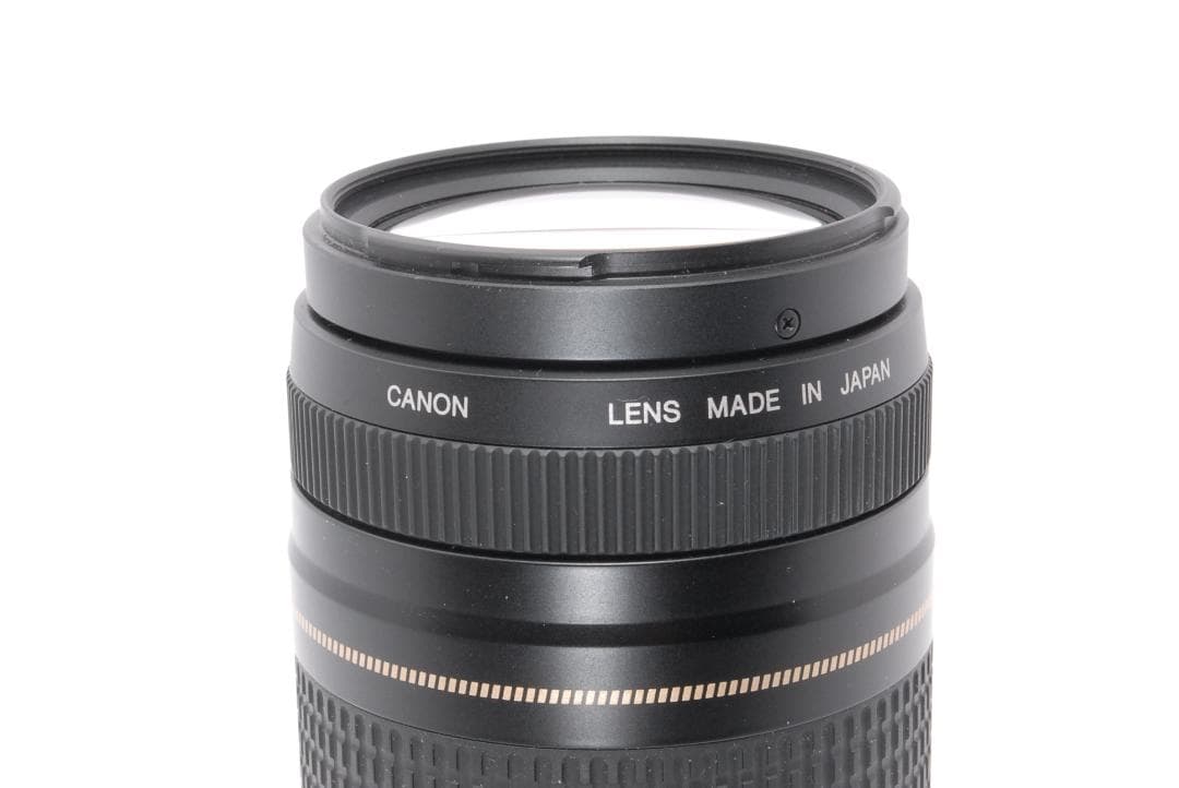 遠くもバッチリ⭐️超望遠レンズ⭐️Canon EF75-300 Ⅱ USM⭐️