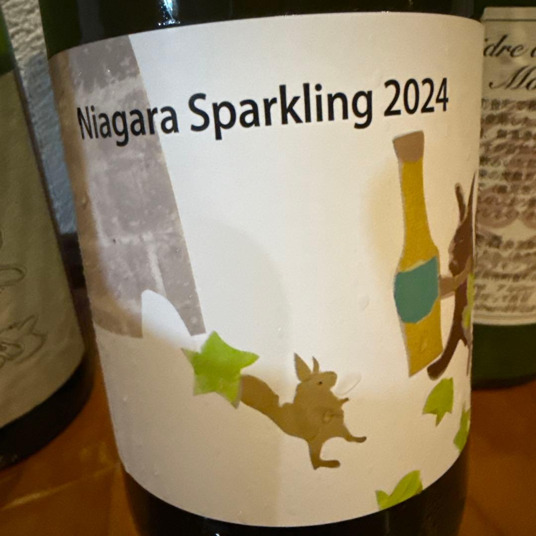 希少 ナチュールワイン Niagara 北海道山田堂 シードルは2024