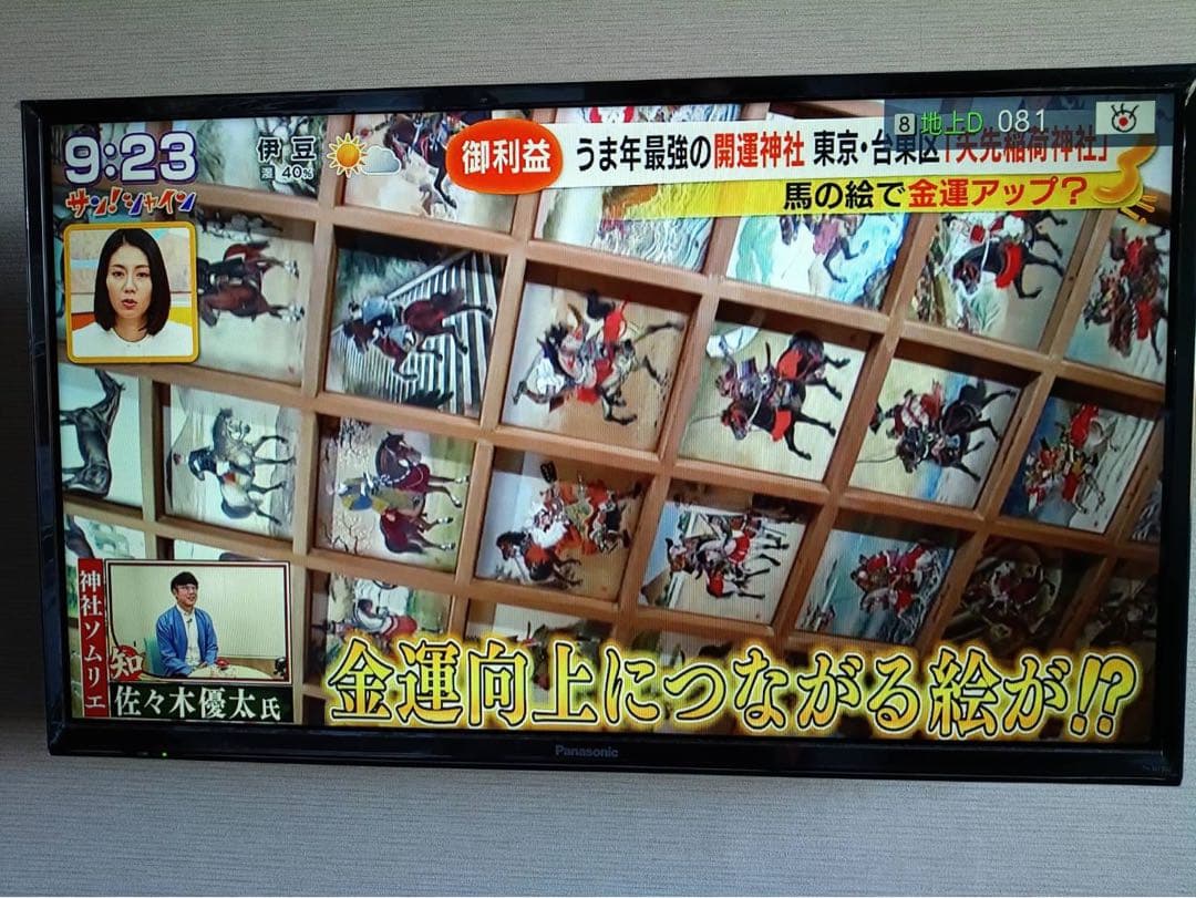 こうさま専用　 Panasonic VIERA TH-32F300（32インチ）