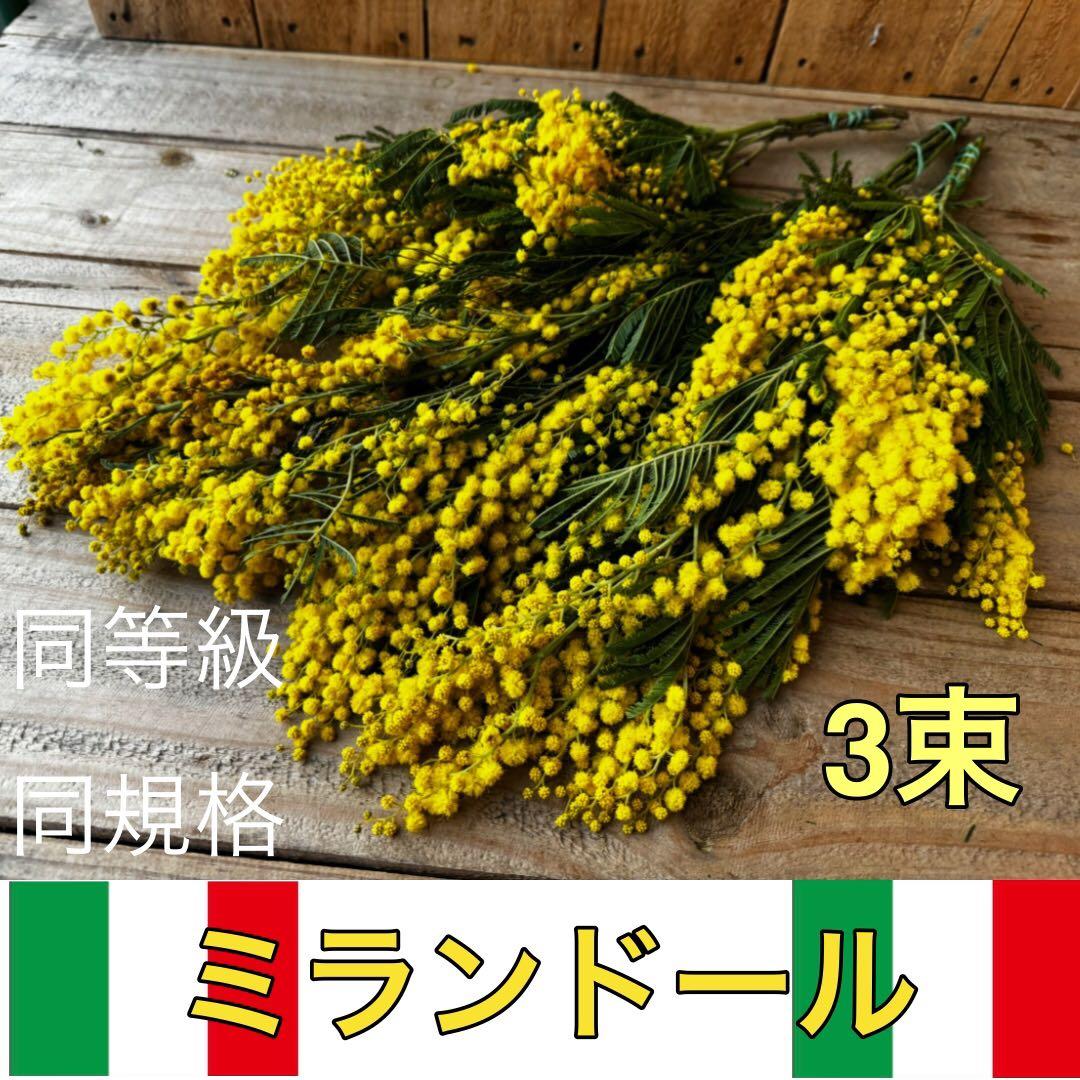 ❤️アトリエ＊リトルジェム❤️様 リクエスト 3点 まとめ商品