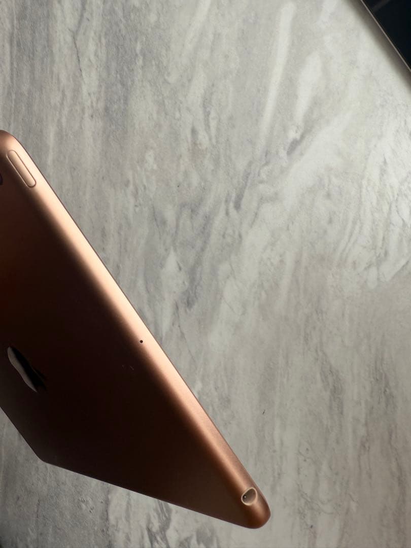 ［美品］iPad mini5 256GB Wi-Fiモデル