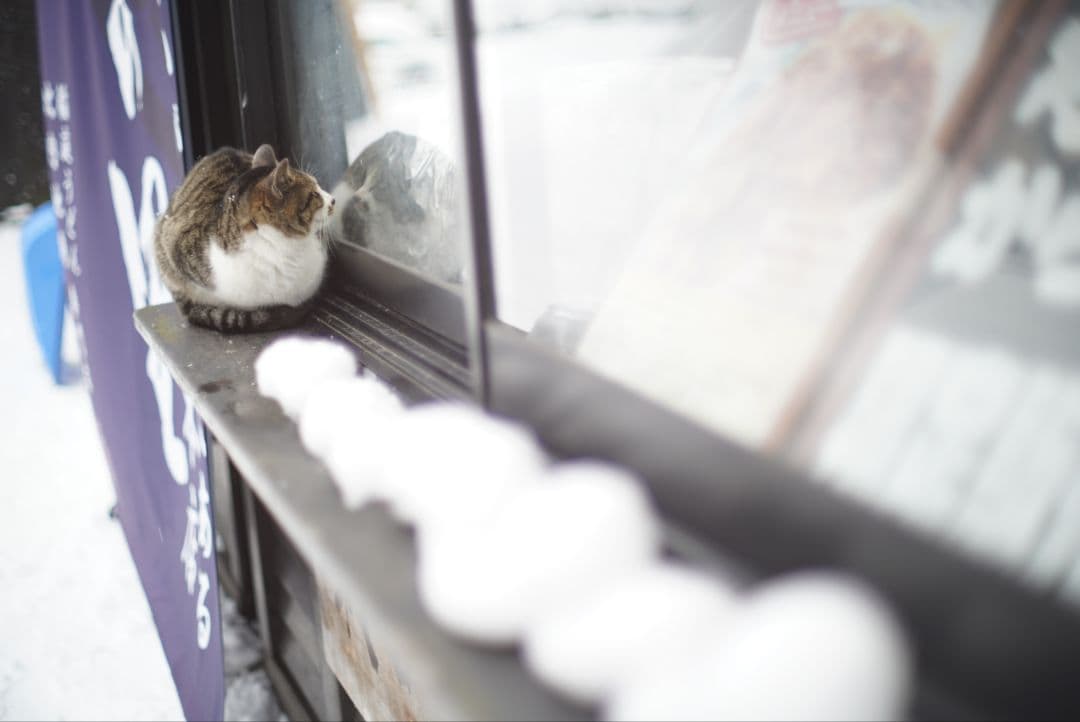 PENTAX Super-Takumar 50mm f1.4 8枚玉純正付属品付