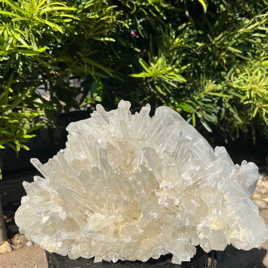 ✳️専用‼️極ヤバの逸品‼️✨超極大✨水晶クラスター 曲がり水晶 天然石 原石 置物