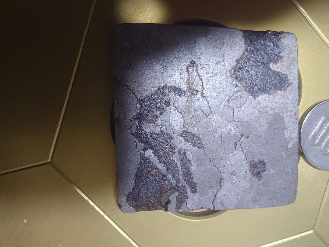 Mr.モモネクター　カンポ・デル・シエロ隕石（表裏大型トロイライト入り）